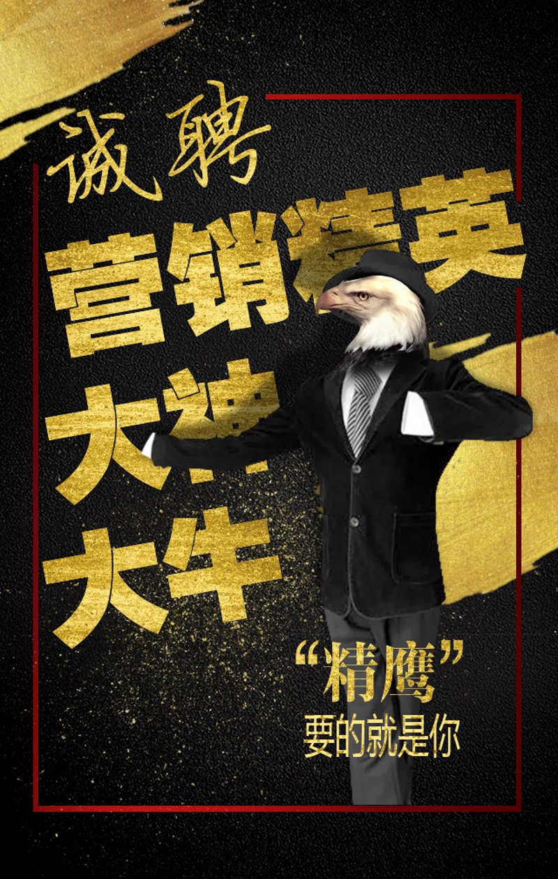 大学生创业:筑梦启航的新篇章